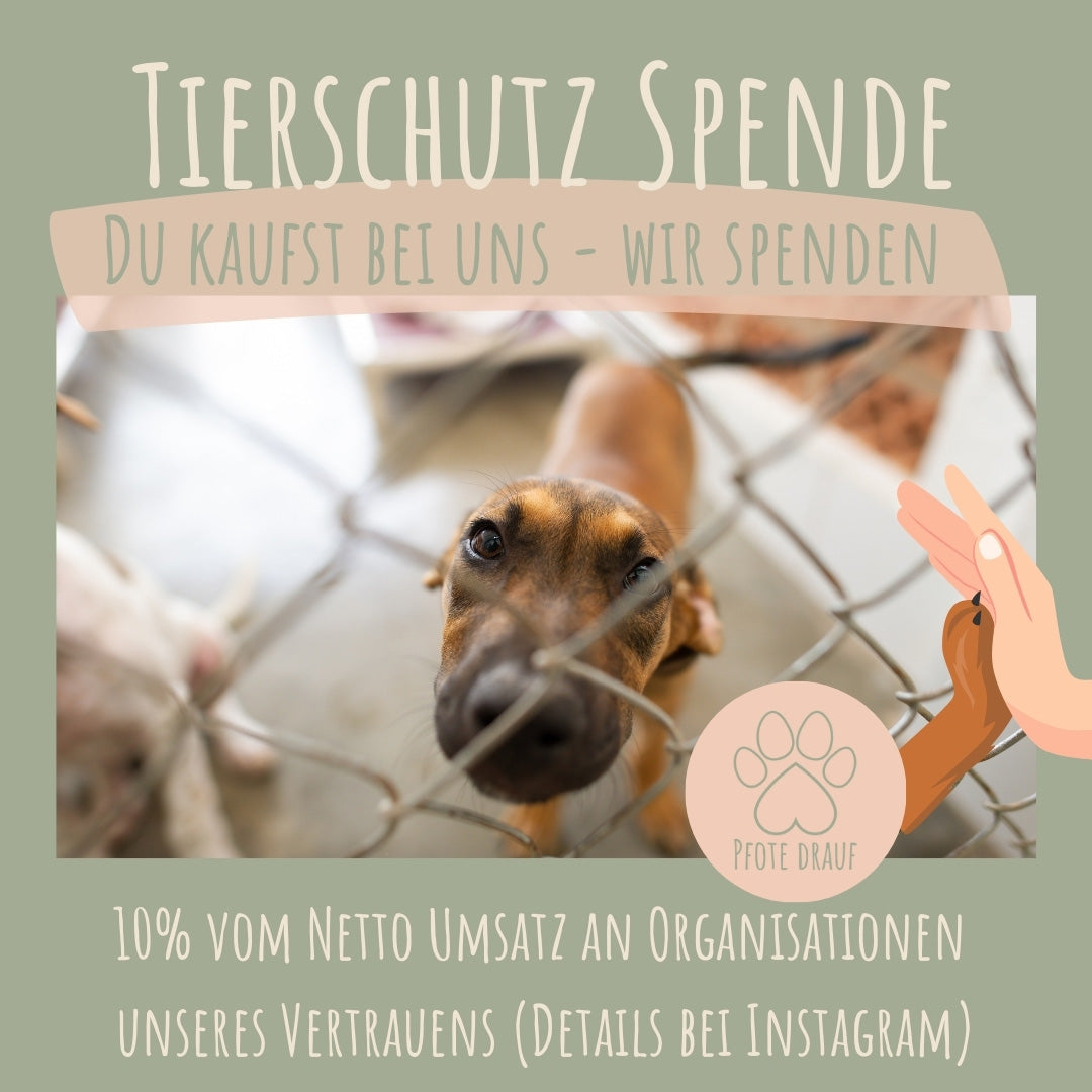 Hunde-Halstuch - Bitte Abstand