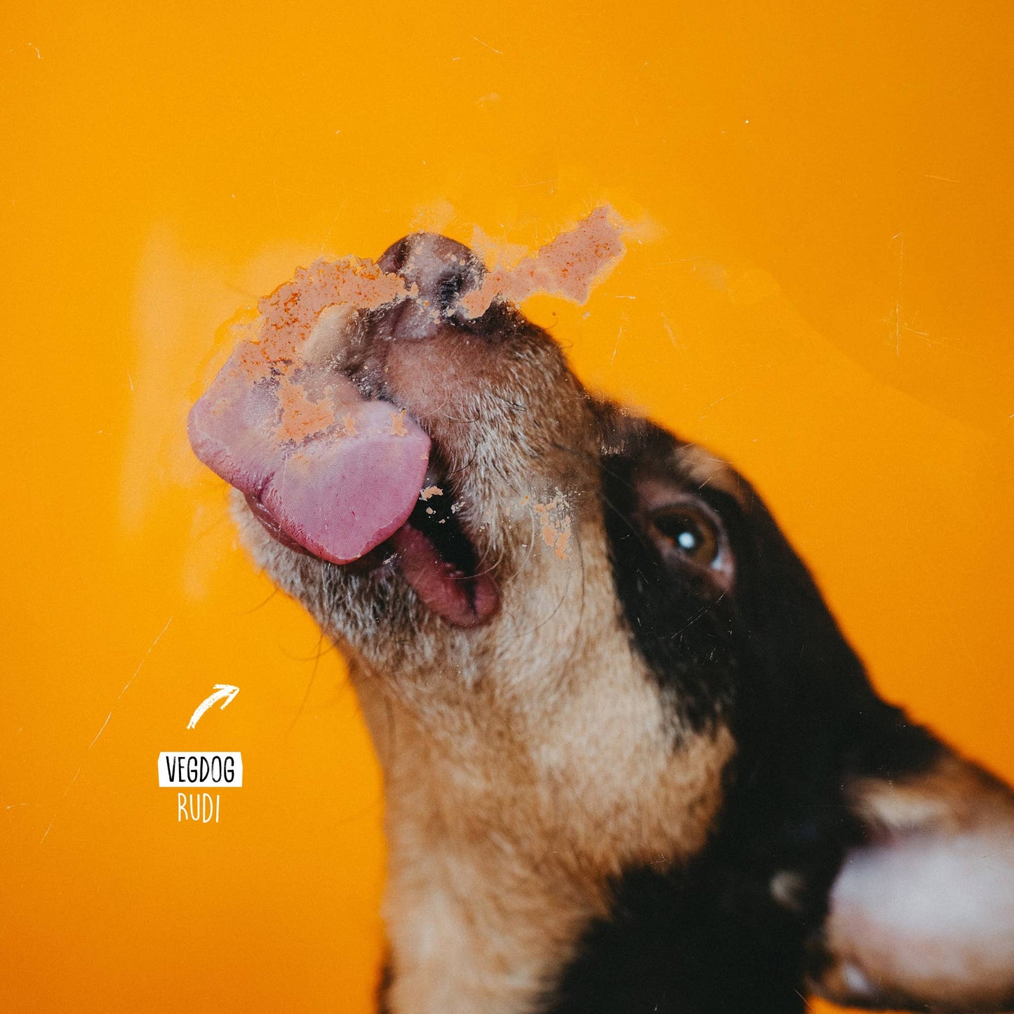 VEGDOG Levervurst