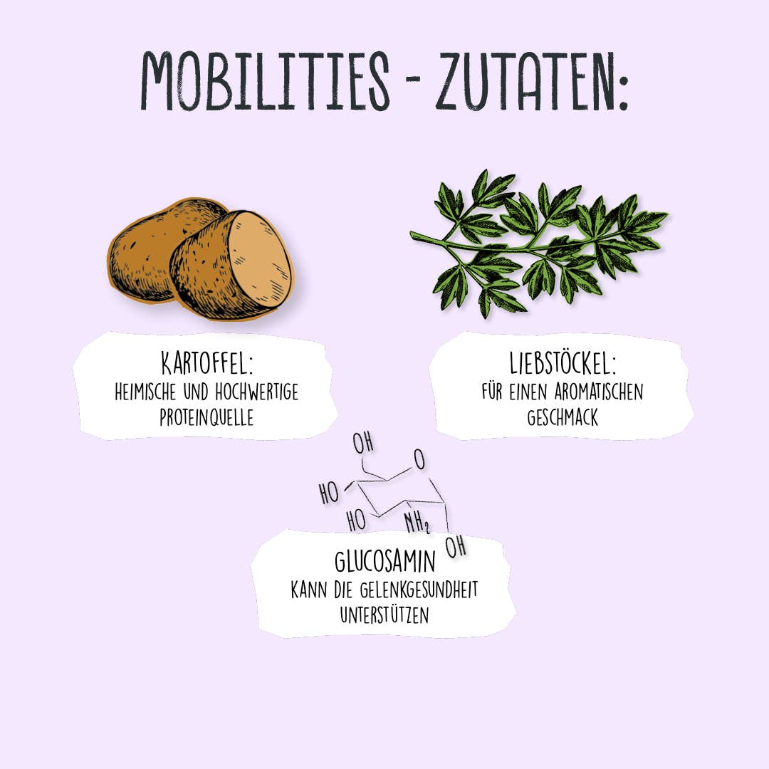 VEGDOG Mobilities Minis