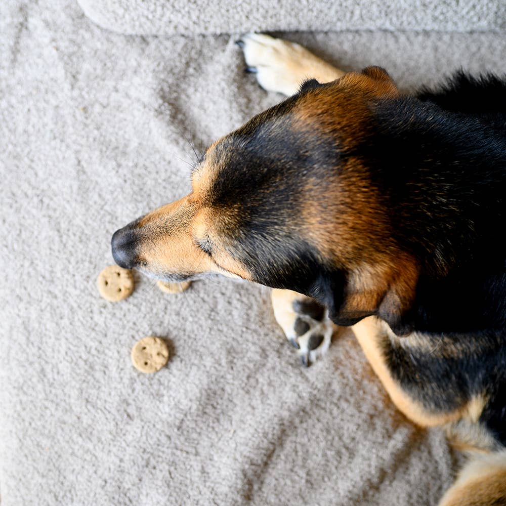 VEGDOG Bedtime Cookies