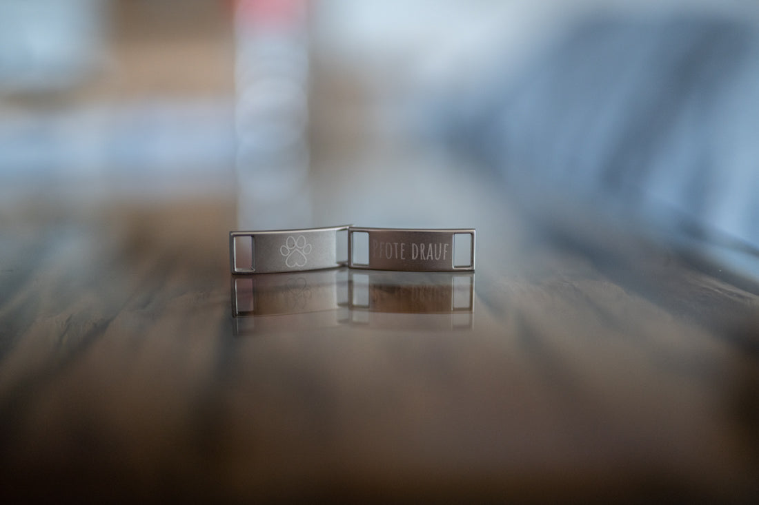 Schuhschnallen (Lace Locks) mit "Pfote drauf" Logo (silber, matt)